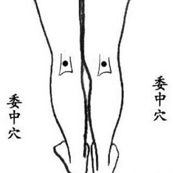 按摩委中穴的功效與作用及其委中穴的準確位置！