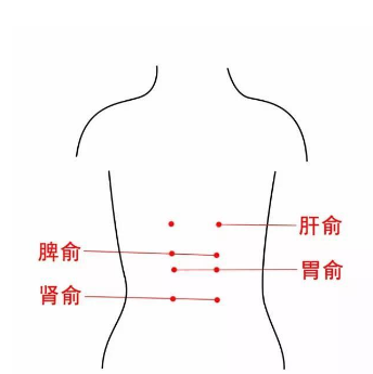 中醫教你正確定位胃俞穴的準確位置及其功效與按摩方法！