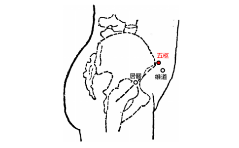 五樞穴位置