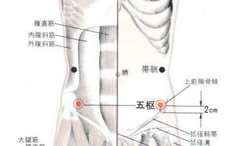 五樞穴主治疾病