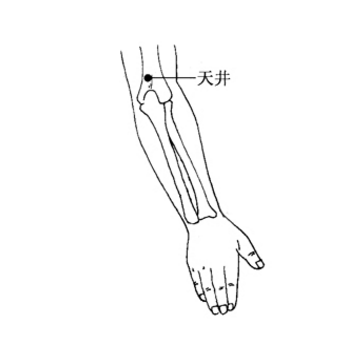 中醫教你按摩天井穴可治療麥粒腫，你知道它的準確位置在哪嗎？