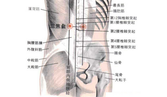 三焦俞穴的準確位置