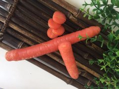 學(xué)會(huì)中藥的6種配伍關(guān)系，你也是半個(gè)中醫(yī)！