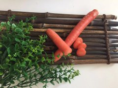 專家提醒：早起晨練有4大誤區要格外注意！
